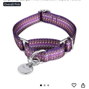 Dazzber Purple Dog Collar